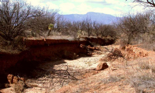 Эрозия почвы: основные виды и проблемы