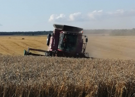 Комбайн CASE IH 2388E (1647)