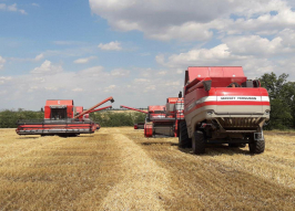 Комбайн MASSEY FERGUSON 7274 (1470)